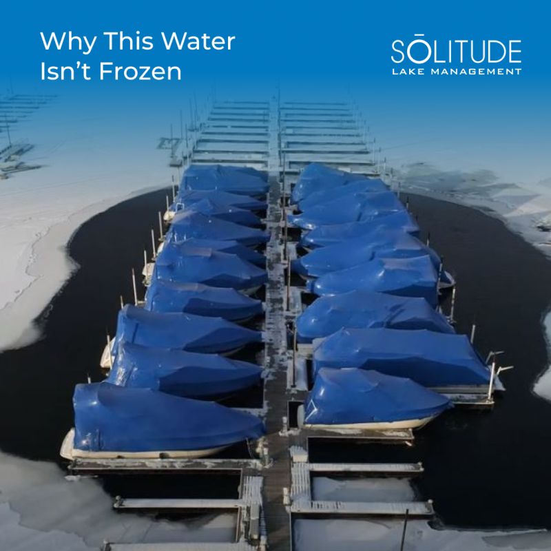 SOLitude Lake Management Winter Tip for Pond & Marina Owners