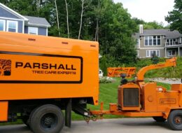 Parshall Tree Care Experts