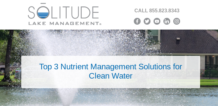 Explore the three eco-friendly solutions that remove excess nutrients from lakes and ponds to promote a healthy aquatic environment.