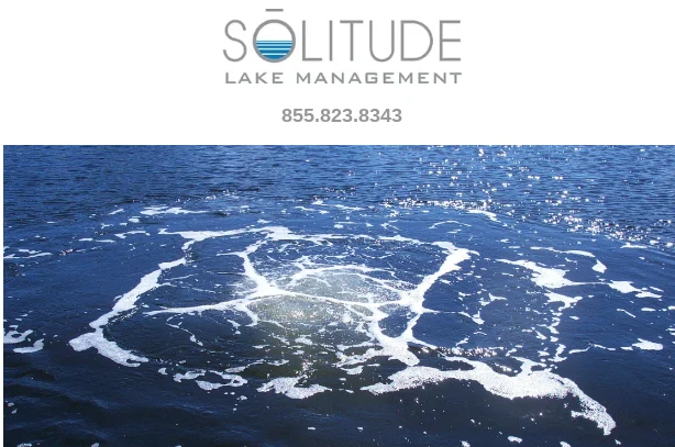 What Is Dissolved Oxygen and Why Is it Important for My Waterbody? by SOLitude