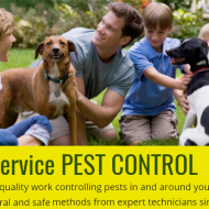 Above & Beyond Pest Control