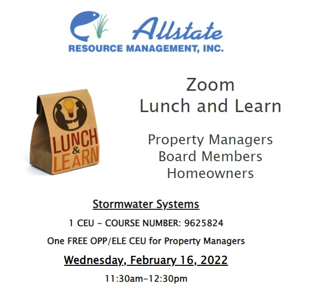 Zoom Lunch and Learn  “Stormwater Systems”  Wednesday,  February 16, 2022 11:30am-12:30pm