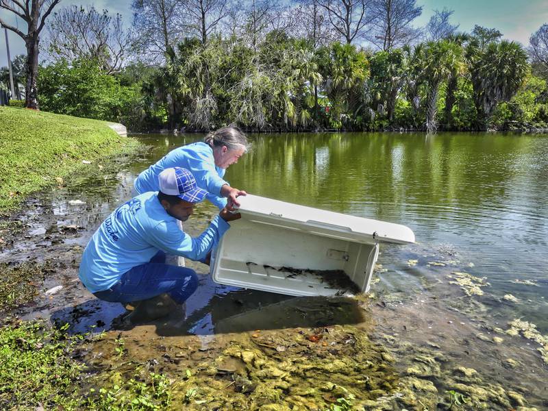 Stocking up: 500,000 fish released into South Florida waterways for sport,  sustainability » SFPMA