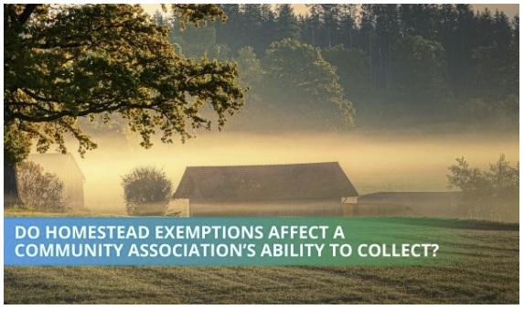 Homesteading and the Homestead Exemption: 3 Things to Know for Your HOA by Mitch Drimmer