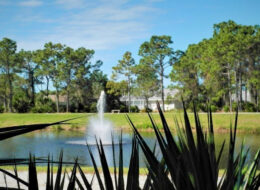 FloridAquatic Lake Management