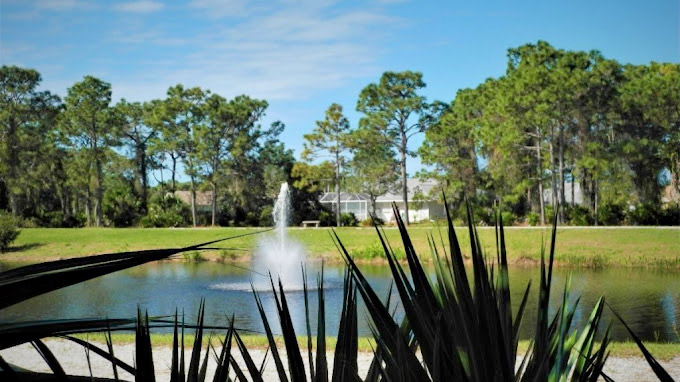 FloridAquatic Lake Management