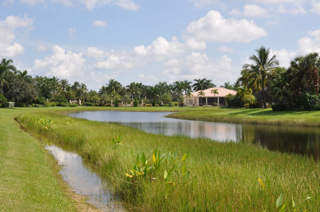 How to Manage Littoral Zones in Florida by SOLitude