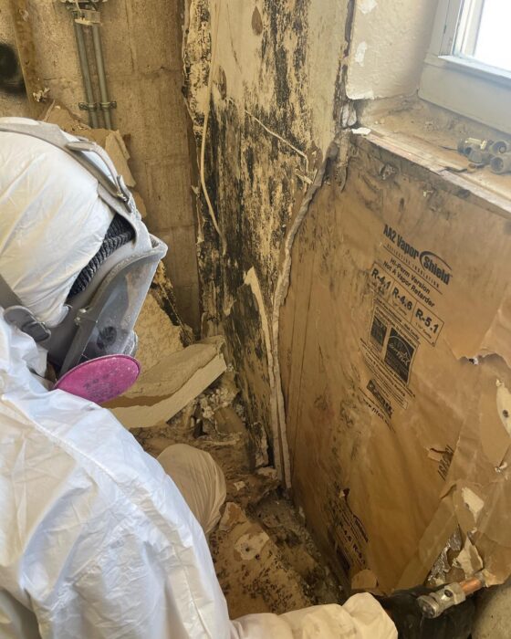 Mold testing and remediation are essential because they provide a comprehensive approach to identifying and eliminating mold at its source