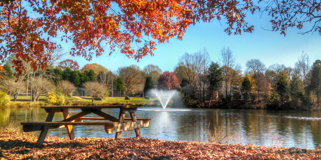 7 Pond Maintenance Tips from SOLitude to Complete This Fall