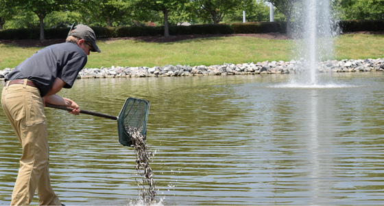 Schedule Your Fall Fish Stocking Discover the benefits of professional fall fish stocking and how to set your fishery up for success.