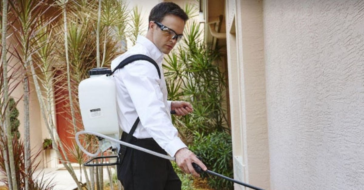 Why You Need Pest Control (6 Important Reasons to Consider) by Hulett
